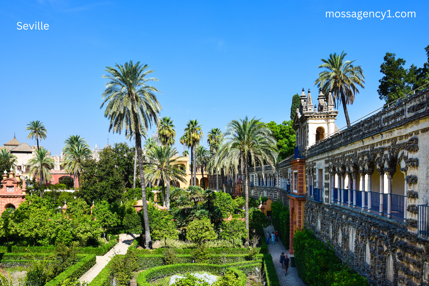 Exploring Seville: A Guide to Spain's Jewel of the South