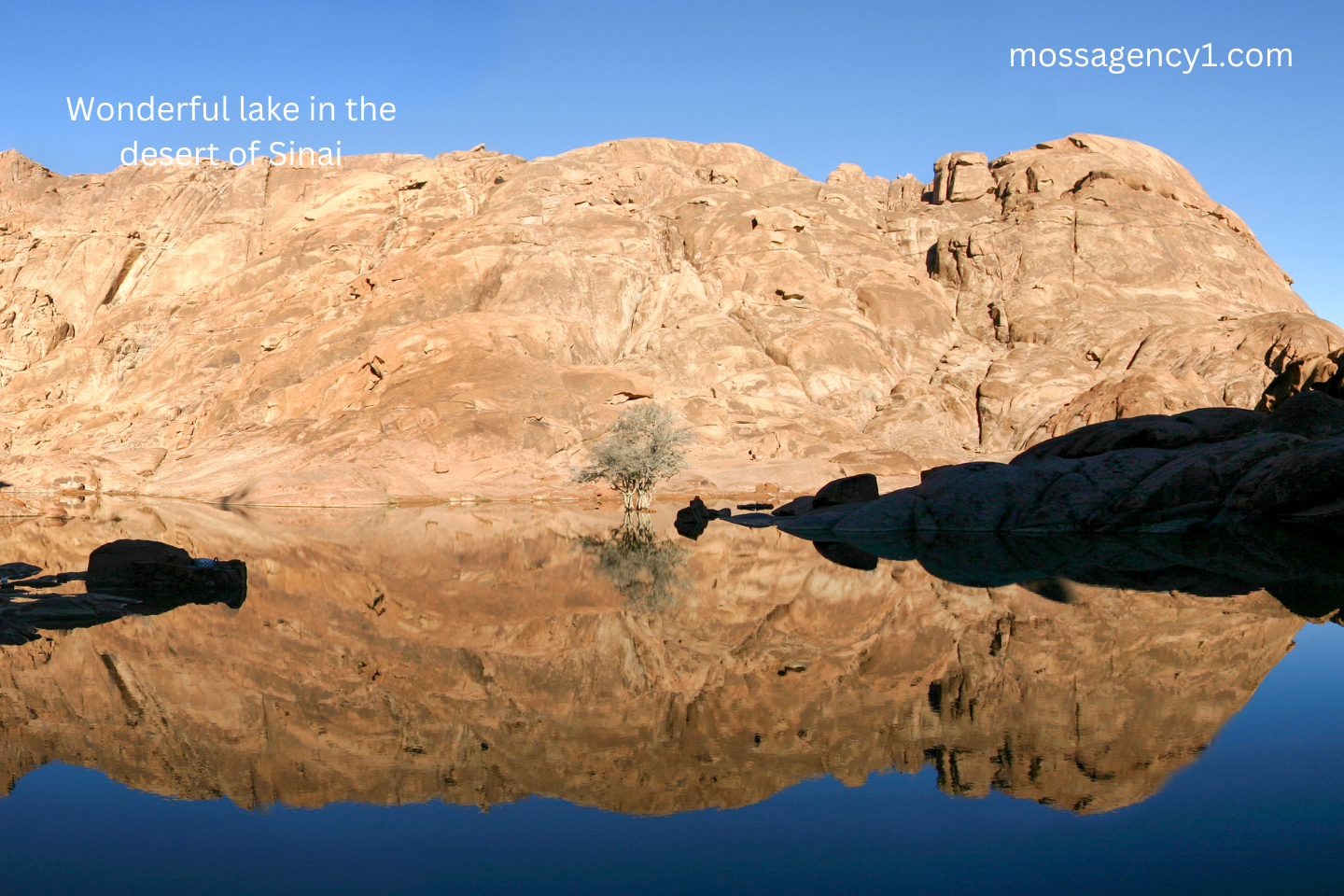 Sinai Geological Wonders