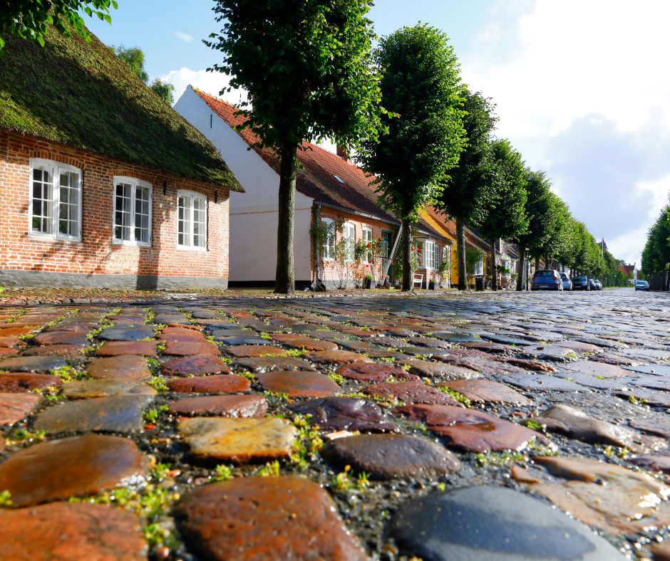 Historic Aalborg: Viking Tales and Cobblestone Streets