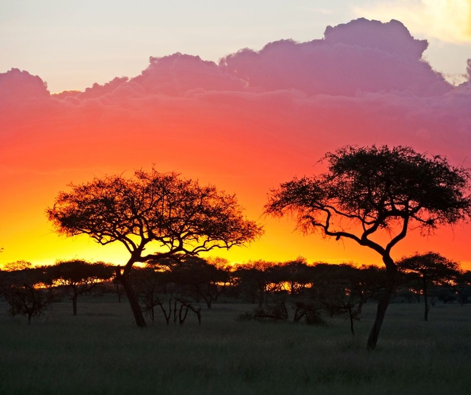 Sunset Serengeti, Serengeti National Park, Tanzania