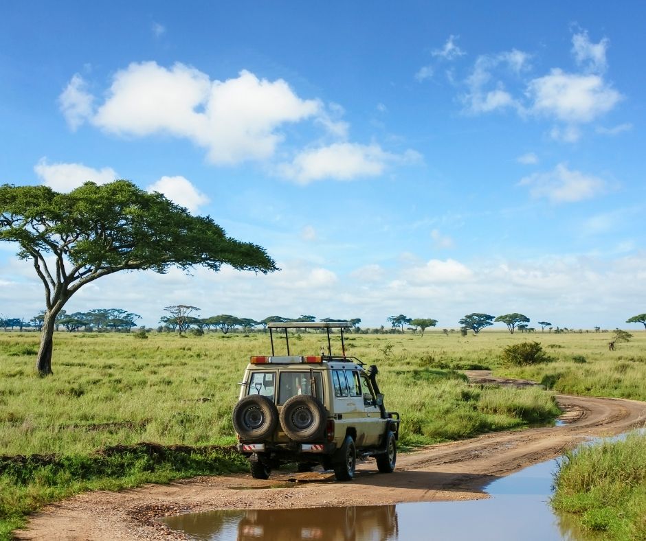 visit Serengeti National Park