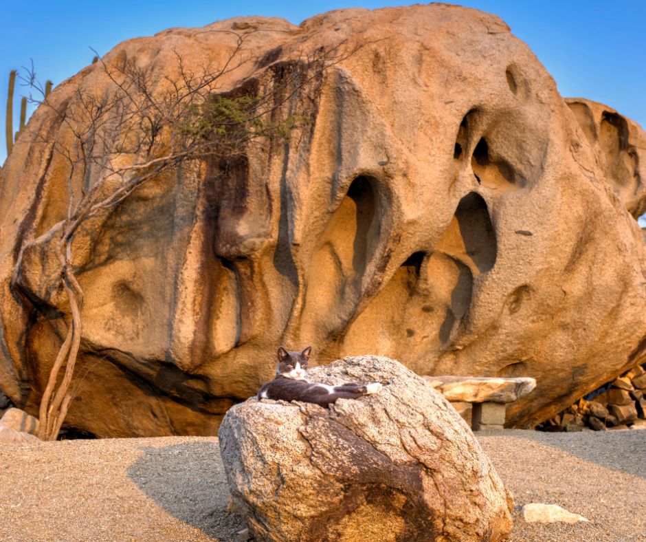 Explore Aruba's Ayo Rocks: Ancient Petroglyphs and Unique Formations