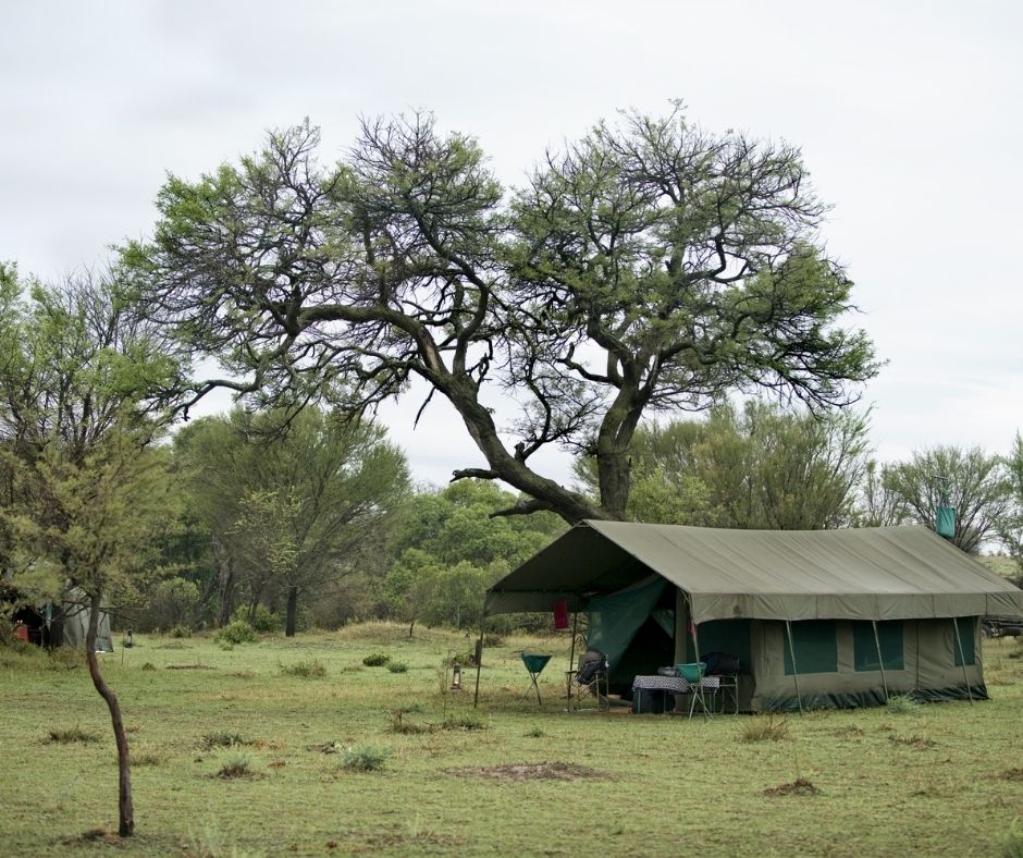 Tent in Serengeti National Park, Serengeti, Tanzania  to preserve the park's biodiversity