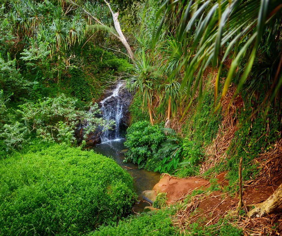 View of the Famous Kalalau Trail along Na Pali Coast of the Island of Kauai