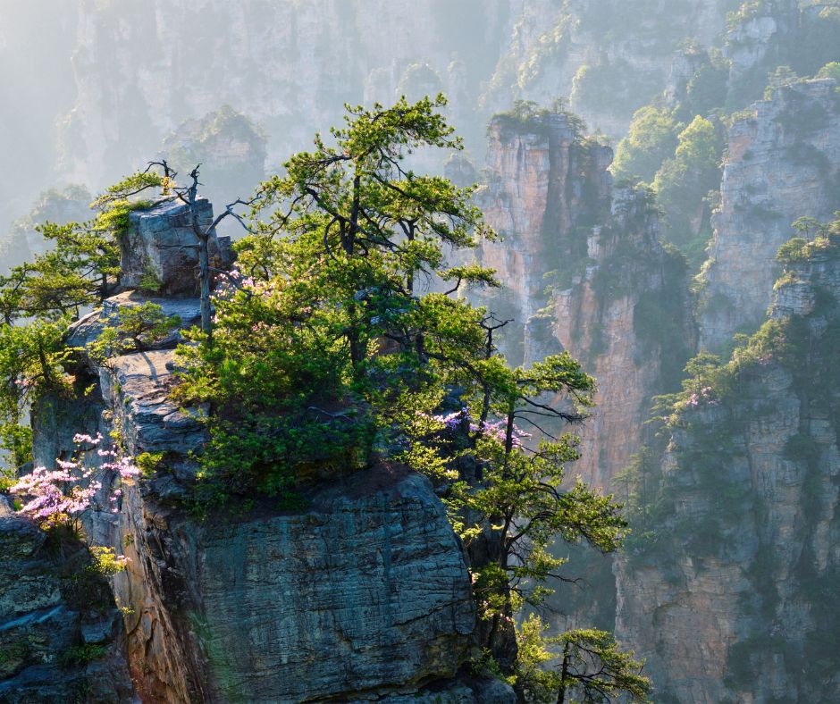 Zhangjiajie National Forest Park: The Real-Life Avatar Wonderland