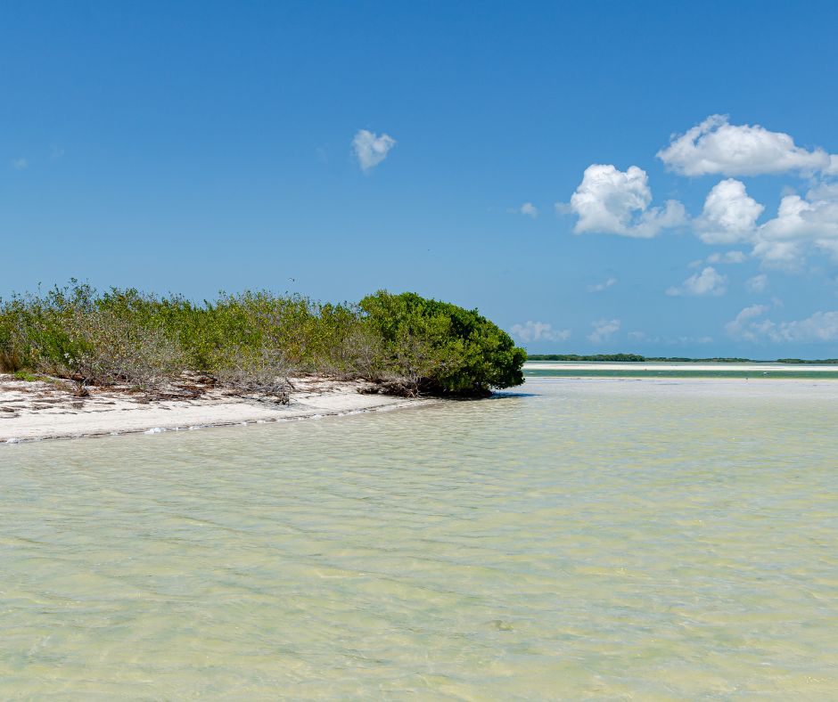 Isla de la Pasion, Quintana Roo, Mexico