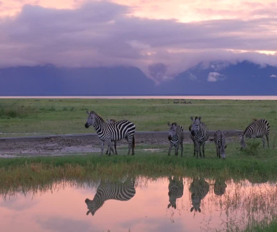 Explore the Majestic Serengeti National Park, Tanzania