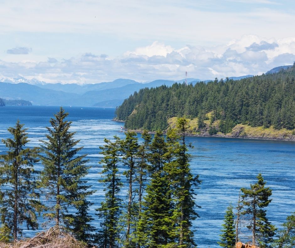 Vancouver Island Travel Tips & Must-See Spots