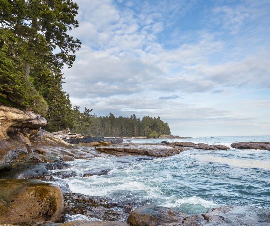 Explore the Untamed Beauty of Vancouver Island