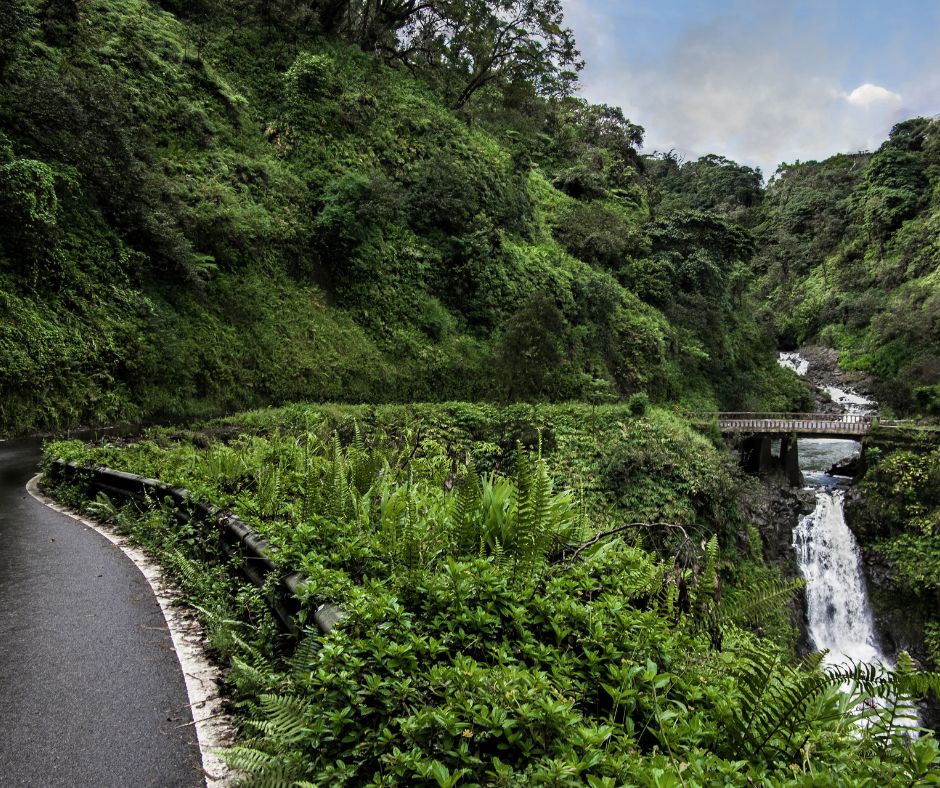 Waterfalls road to hana on Maui