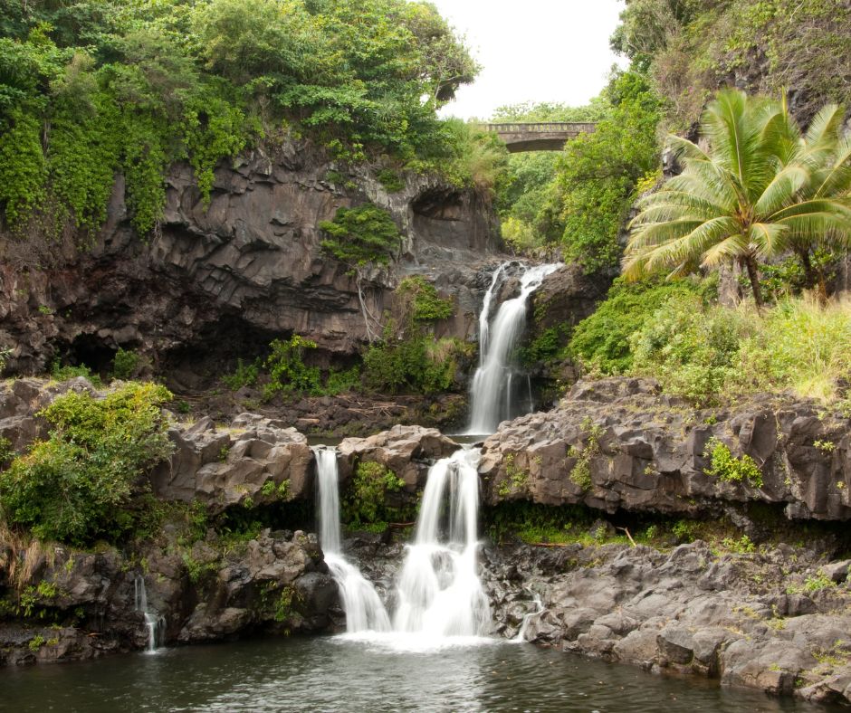 road to hana in  Maui  slow down, immerse oneself in nature