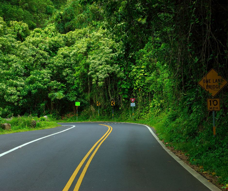 Road to Hana on Maui is a scenic drive that takes you through lush rainforests