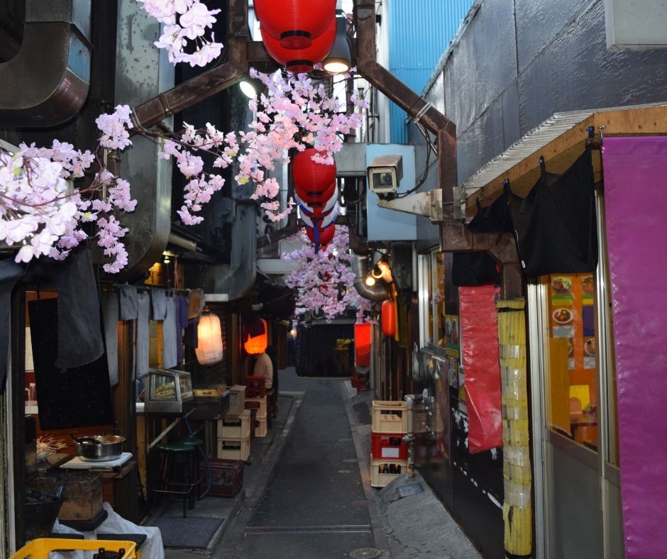Omoide Yokocho, which is Japanese gastropub area (Izakaya) in Shinjuku, Tokyo